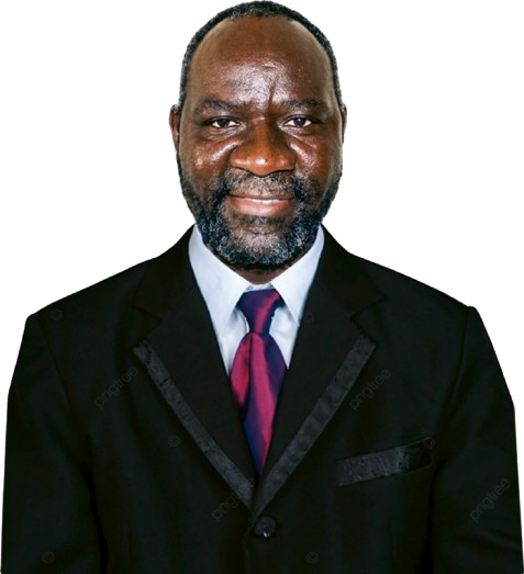 Domingos Quinzeca, MSc.